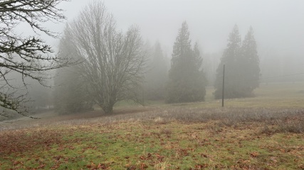 Come and tell us your dull and unexciting news 34: Calmly through the day