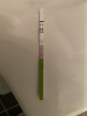 TWW feels like forever