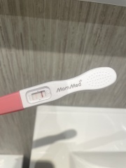 Pregnancy Test