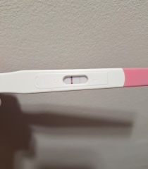 What is going on with my tests!? Anyone used 'PregSeen' before?