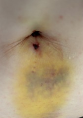 What's been your most satisfying sporner moment?