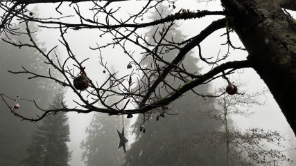 Come and tell us your dull and unexciting news 34: Calmly through the day