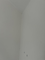 The perfect all over off white for walls, ceiling and woodwork