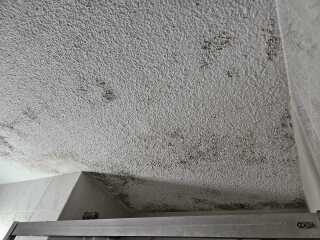 Mouldy ceiling above shower