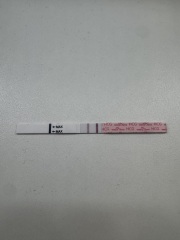 Due September 2026 🐣💖🙏🤞