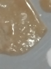 Is my sister BU to say these photos show little pieces of metal in her food? (Photos attached) (Update with extra photos on page 5)