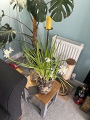 What are you up to today if you have chronic illness? Thread 4