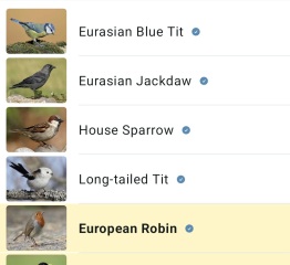 The Nigel Slater Christmas Chronicles Readalong 2025/6 Part 4