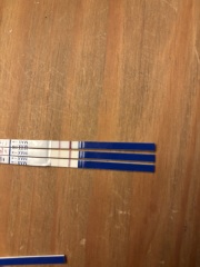 Does progression lines look ok? One step, morrisons, clear blue