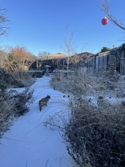 The Nigel Slater Christmas Chronicles Readalong 2025 - Part 3