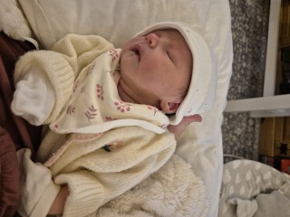 Due January 2026 - Thread 4