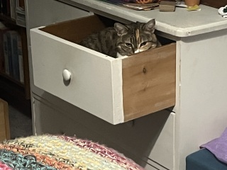 The Excellent Cats welcome the new year by planning an expedition in search of 'She who must not be named'