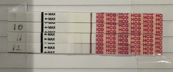 The Hopeful Hearts Circle 1  - December 2025🎄💖
