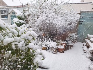 The Nigel Slater Christmas Chronicles Readalong 2025 - Part 3