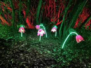 Year round Nigel Slater discussion thread - Part 3