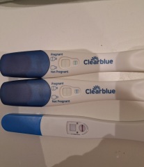 What is going on with my tests!? Anyone used 'PregSeen' before?