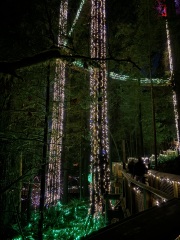 Daily Project round 8