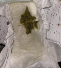 Green baby bowel movements