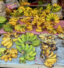 Thread 19 - TalkLair: "The light that burns twice as bright burns half as long"