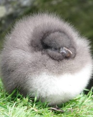 The Bluestocking - your local women's pub, warm, friendly, and not at all unusual in any way.