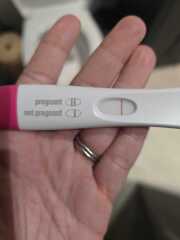3 BFP or 3 EVAPs?