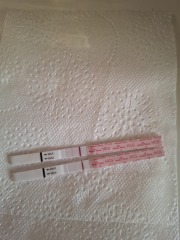 12dpo - faint positive. Zero chill!