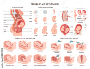 How is the trans issue ever going to be resolved?