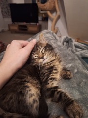 May 2025 Starters Thread 7 - Ending the year as we mean to go on ✌️