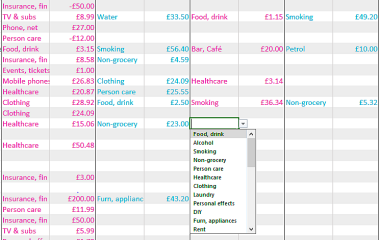If you are someone who keeps a spreadsheet of your spending, can you share how you categorise things?