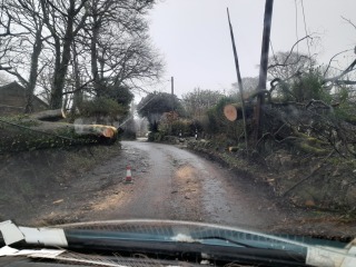 Storm Goretti