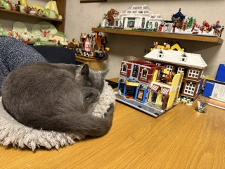 The Excellent Cats welcome the new year by planning an expedition in search of 'She who must not be named'