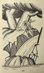 My year with Stella...