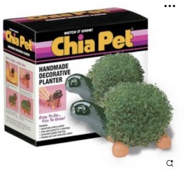 A gift that I need to pay to use?