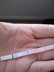12dpo - faint positive. Zero chill!