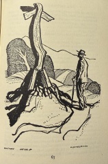 My year with Stella...