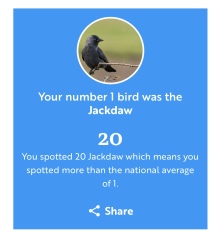 RSPB Big Garden Birdwatch 2026