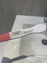 Pregnancy Test