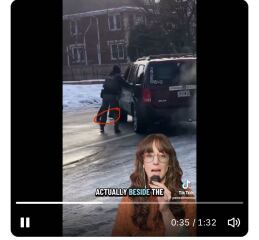 ICE agent shoots woman in the face.