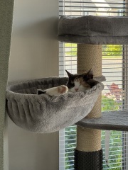 My chunky girl is on a diet