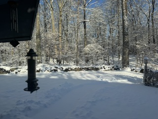 Come and tell us your dull and unexciting news 35: Calmly through the day