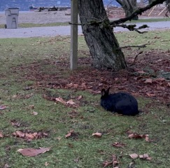 Daily Project round 8