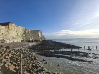 The Nigel Slater Christmas Chronicles Readalong 2025 - Part 3