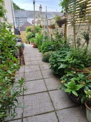 The 2026 Gardening Programme Thread