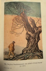 My year with Stella...