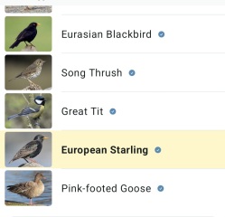 The Nigel Slater Christmas Chronicles Readalong 2025/6 Part 4