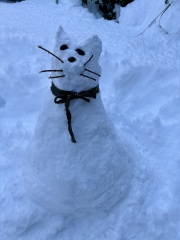 Have you got snow..where are you.. how cold is it?