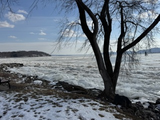 Chat thread 5 🐥🍲(Mumsnets could do better cont…)