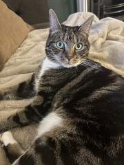 My chunky girl is on a diet