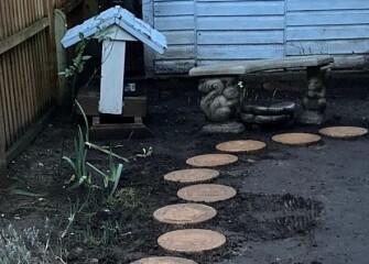 The Great Cancer Recovery part 5