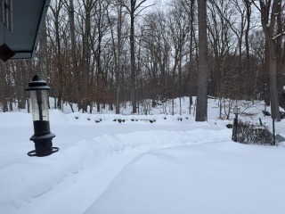 Come and tell us your dull and unexciting news 35: Calmly through the day